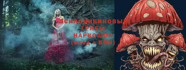 соль курить ск Горнозаводск